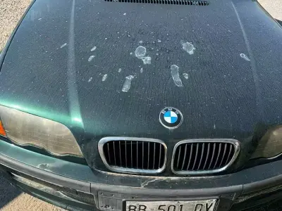 Usata BMW 318