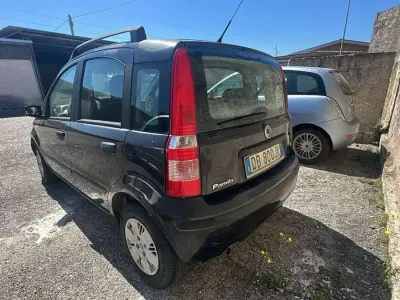 Usata Fiat Panda
