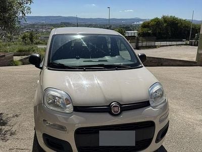Usata Fiat Panda Young 69 CV (50 kW) 2016 Utilitaria