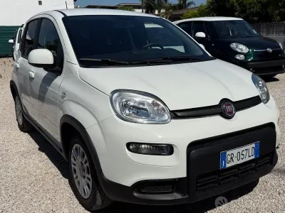 Usata Fiat Panda S 69 CV (50 kW) 2024 Bianco Utilitaria