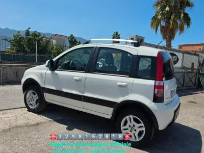 Usata Fiat Panda 4x4 Climbing 75 CV (55 kW) 2011 Bianco Utilitaria