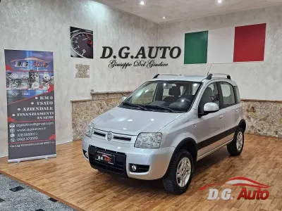 Usata Fiat Panda 4x4 Climbing 69 CV (50 kW) 2010 Argento Utilitaria