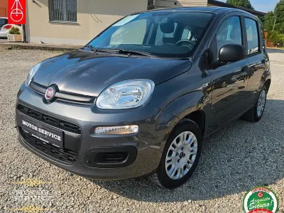 Usata Fiat Panda Lounge 69 CV (50 kW) 2017 Grigio Utilitaria