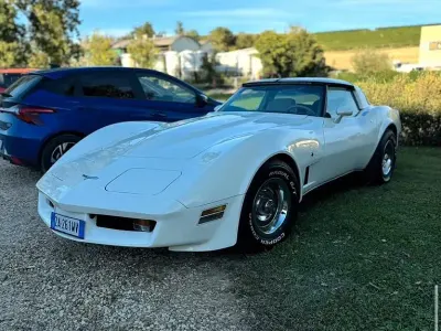 Usata Corvette Stingray 1980 Bianco Coupé