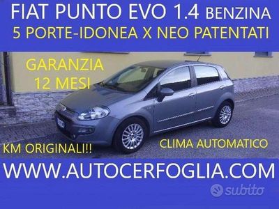 Usata Fiat Punto Evo Emotion 105 CV (77 kW) 2010 Grigio Utilitaria