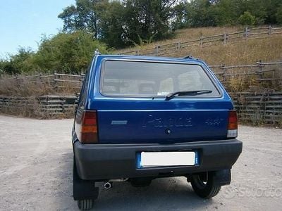 Usata Fiat Panda 4x4 Trekking 54 CV (39 kW) 1999 Blu/azzurro Utilitaria