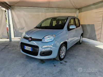 Usata Fiat Panda Lounge 69 CV (50 kW) 2020 Grigio Utilitaria