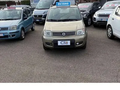 Usata Fiat Panda Climbing 60 CV (44 kW) 2008 Bronzo Utilitaria