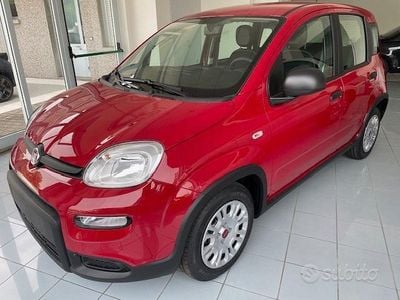 Usata Fiat Panda 70 CV (51 kW) 2024 Rosso Utilitaria