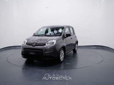 Usata Fiat Panda City Life 69 CV (50 kW) 2023 Grigio Berlina