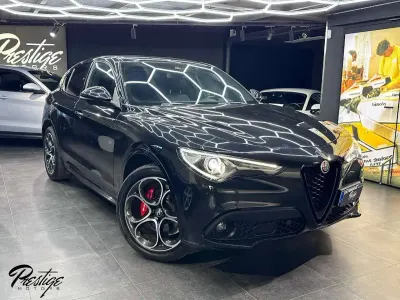 Usata Alfa Romeo Stelvio Veloce 209 CV (153 kW) 2020 Other SUV