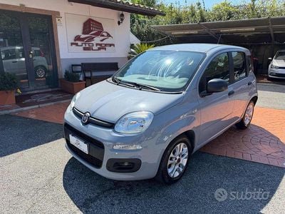 Usata Fiat Panda Easy 69 CV (50 kW) 2021 Grigio Utilitaria