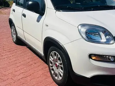 Usata Fiat Panda 70 CV (51 kW) 2023 Bianco Utilitaria