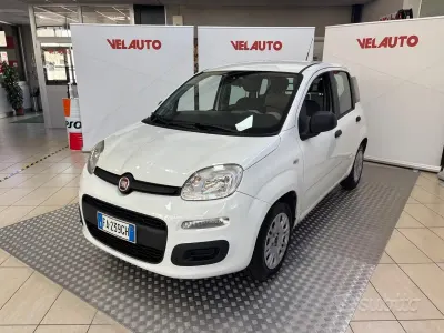 Usata Fiat Panda Easy 69 CV (50 kW) 2015 Bianco Utilitaria
