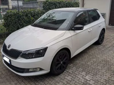 Brugt Skoda Fabia