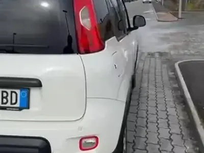 Usata Fiat Panda 4x4 80 CV (58 kW) 2013 Bianco Utilitaria