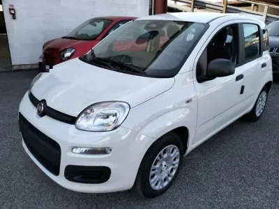 Nuova Fiat Panda S 69 CV (50 kW) 2025 Rosso passione pastello Utilitaria