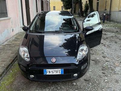 Usata Fiat Punto Lounge 95 CV (69 kW) 2017 Utilitaria