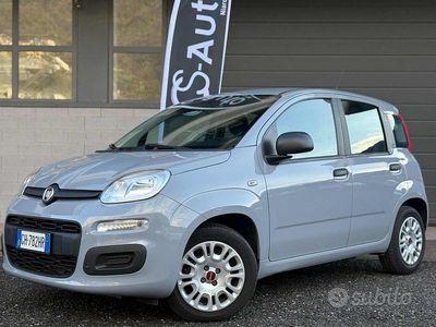 Usata Fiat Panda S 69 CV (50 kW) 2021 Grigio Utilitaria