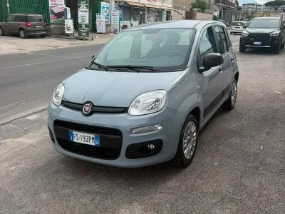 Usata Fiat Panda Easy 95 CV (69 kW) 2018 Grigio Utilitaria