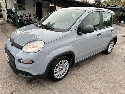Usata Fiat Panda 70 CV (51 kW) 2022 Grigio Utilitaria