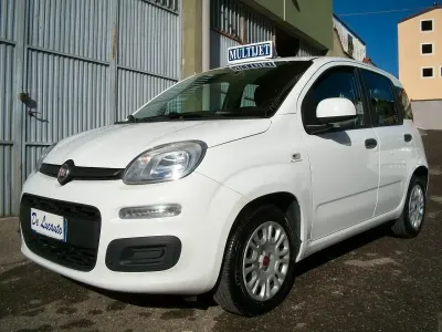 Usata Fiat Panda Easy 95 CV (69 kW) 2018 Bianco Utilitaria