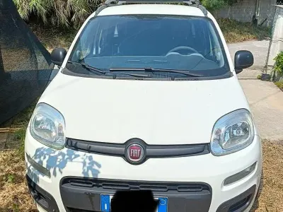 Usata Fiat Panda 69 CV (50 kW) 2013 Bianco Utilitaria