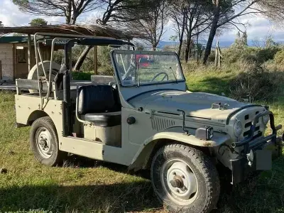 Usata Fiat Campagnola 79 CV (58 kW) 1986 SUV