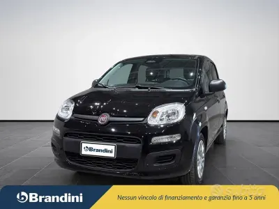 Usata Fiat Panda Icon 70 CV (51 kW) 2025 Nero Utilitaria