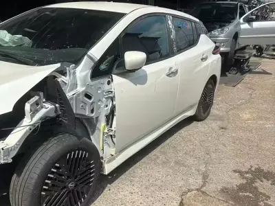 Usata Nissan Leaf