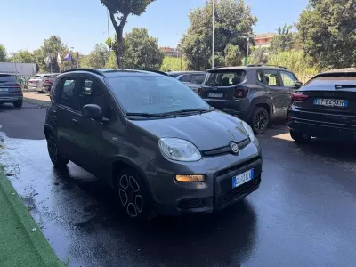 Usata Fiat Panda City Life 69 CV (50 kW) 2022 Grigio Utilitaria