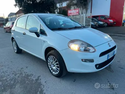 Gebraucht Fiat Punto 77 PS (56 kW) 2015 Weiß Kleinwagen