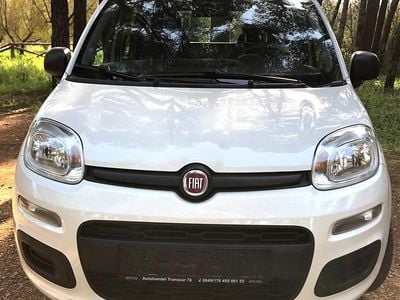Usata Fiat Panda Lounge 69 CV (50 kW) 2014 Bianco Utilitaria