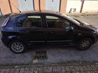 Usata Fiat Punto Evo Active 77 CV (56 kW) 2010 Utilitaria