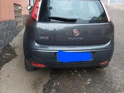 Usata Fiat Punto 2014 Grigio Berlina