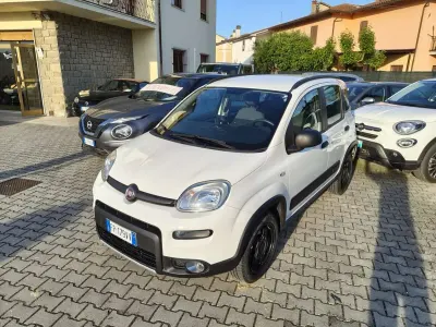 Usata Fiat Panda 4x4 S 95 CV (69 kW) 2018 Gelato Utilitaria