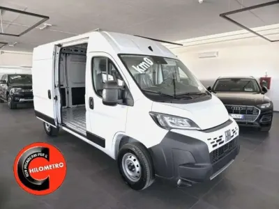 Usata Fiat Ducato