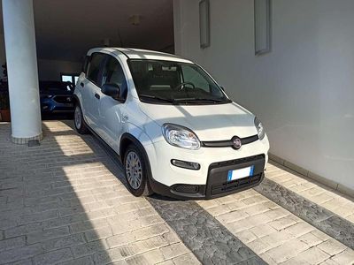 Usata Fiat Panda S 70 CV (51 kW) 2023 Bianco Utilitaria