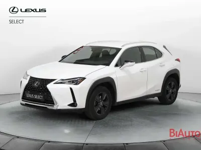 Usado Lexus UX 250h