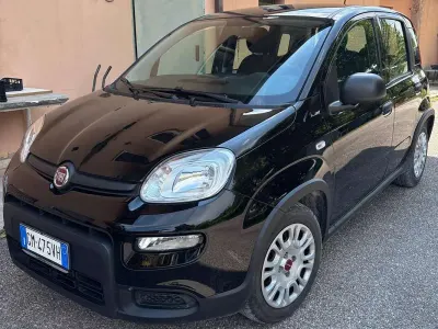 Usata Fiat Panda S 69 CV (50 kW) 2023 Nero Utilitaria