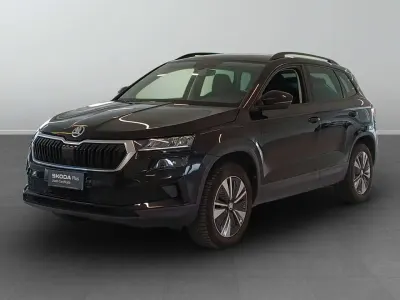 Usata Skoda Karoq