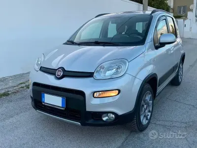 Usata Fiat Panda 4x4 S 75 CV (55 kW) 2014 Grigio Utilitaria