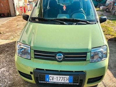 Usata Fiat Panda 4x4 Climbing 69 CV (50 kW) 2006 Verde Utilitaria