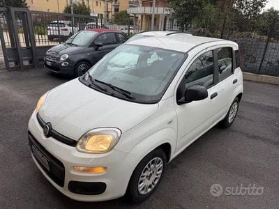 Usata Fiat Panda Easy 69 CV (50 kW) 2020 Bianco metallizzato Utilitaria