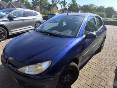 Usata Peugeot 206