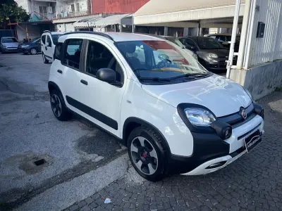 Usata Fiat Panda Cross Cross 70 CV (51 kW) 2020 Bianco Utilitaria