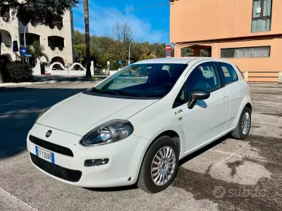 Usata Fiat Punto Young 77 CV (56 kW) 2015 Bianco Utilitaria