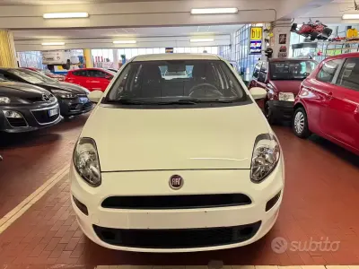 Usata Fiat Punto Lounge 69 CV (50 kW) 2016 Bianco Utilitaria