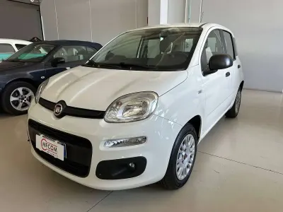 Usata Fiat Panda Easy 69 CV (50 kW) 2020 Bianco Utilitaria