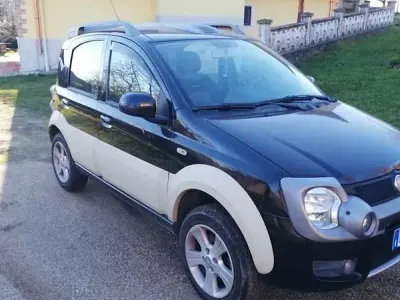 Usata Fiat Panda 4x4 Cross 75 CV (55 kW) 2011 Utilitaria